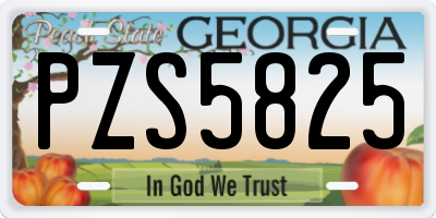 GA license plate PZS5825