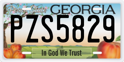 GA license plate PZS5829