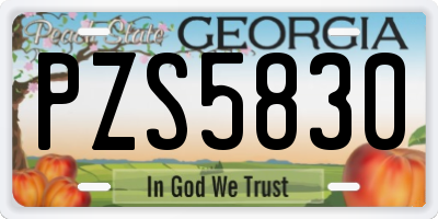 GA license plate PZS5830