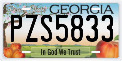 GA license plate PZS5833