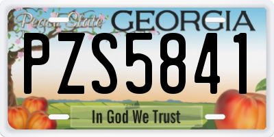 GA license plate PZS5841