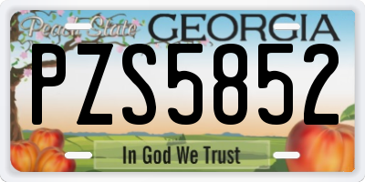 GA license plate PZS5852