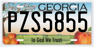 GA license plate PZS5855