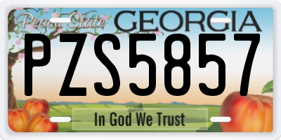 GA license plate PZS5857