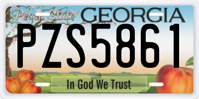 GA license plate PZS5861