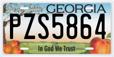 GA license plate PZS5864