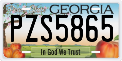 GA license plate PZS5865