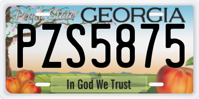 GA license plate PZS5875