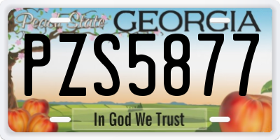 GA license plate PZS5877