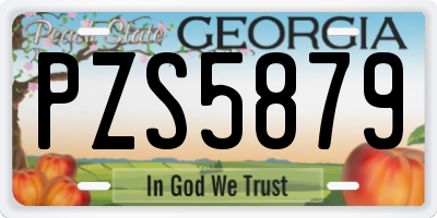 GA license plate PZS5879