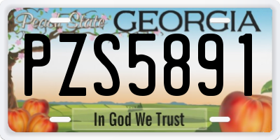 GA license plate PZS5891