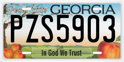 GA license plate PZS5903