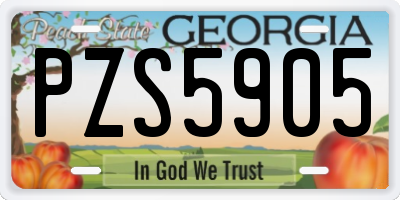 GA license plate PZS5905