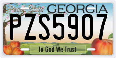 GA license plate PZS5907
