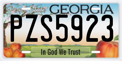 GA license plate PZS5923