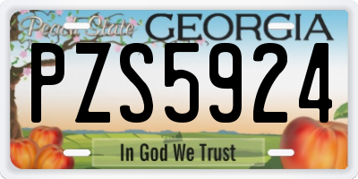 GA license plate PZS5924