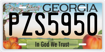 GA license plate PZS5950