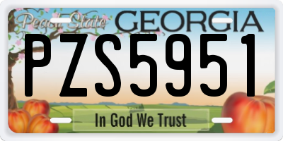 GA license plate PZS5951