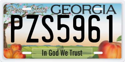 GA license plate PZS5961