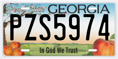 GA license plate PZS5974