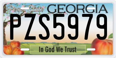 GA license plate PZS5979