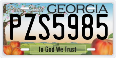 GA license plate PZS5985
