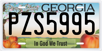 GA license plate PZS5995