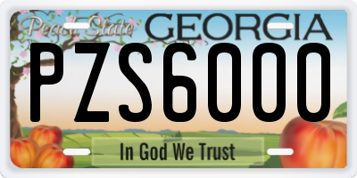 GA license plate PZS6000