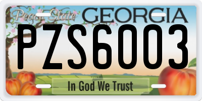 GA license plate PZS6003