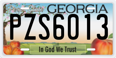 GA license plate PZS6013
