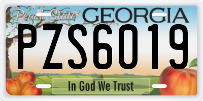GA license plate PZS6019