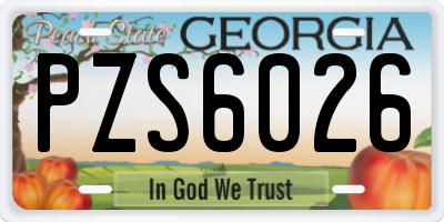 GA license plate PZS6026