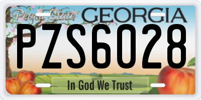 GA license plate PZS6028
