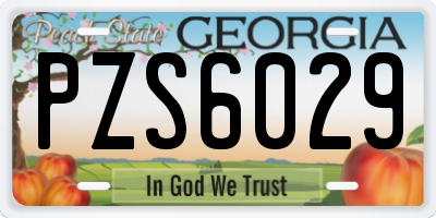GA license plate PZS6029