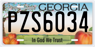 GA license plate PZS6034