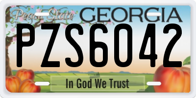 GA license plate PZS6042