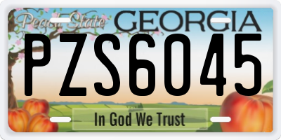 GA license plate PZS6045