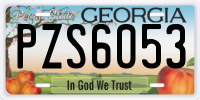 GA license plate PZS6053