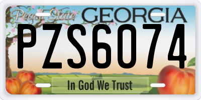 GA license plate PZS6074