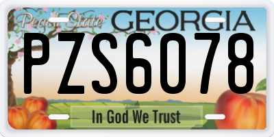 GA license plate PZS6078