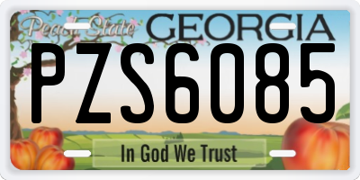 GA license plate PZS6085