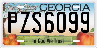 GA license plate PZS6099