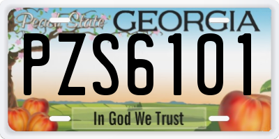 GA license plate PZS6101