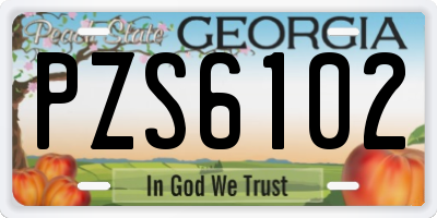 GA license plate PZS6102