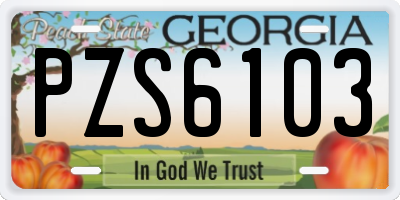 GA license plate PZS6103