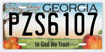 GA license plate PZS6107