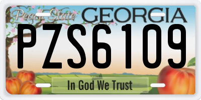 GA license plate PZS6109