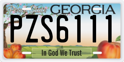 GA license plate PZS6111