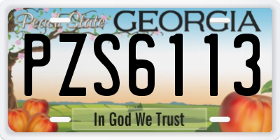 GA license plate PZS6113