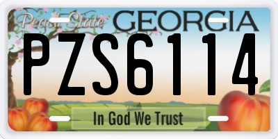 GA license plate PZS6114
